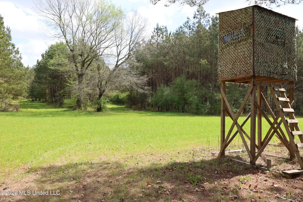 3194 James Road Hazlehurst, MS 39083