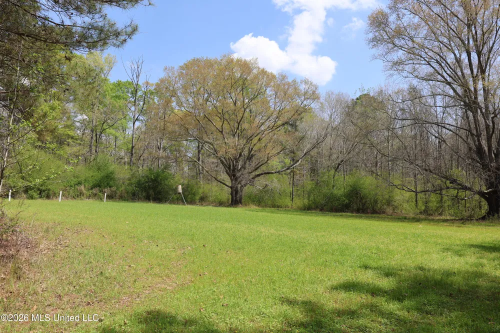 3194 James Road Hazlehurst, MS 39083