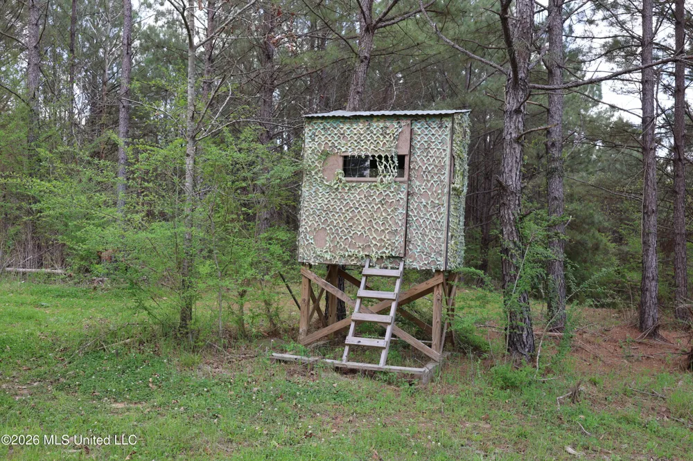 3194 James Road Hazlehurst, MS 39083