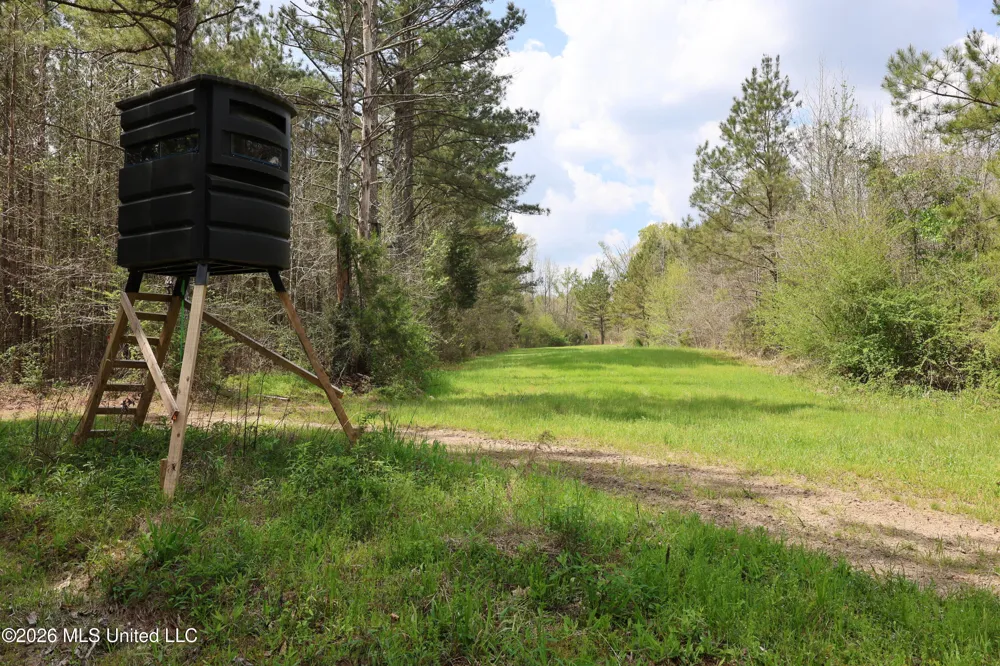 3194 James Road Hazlehurst, MS 39083