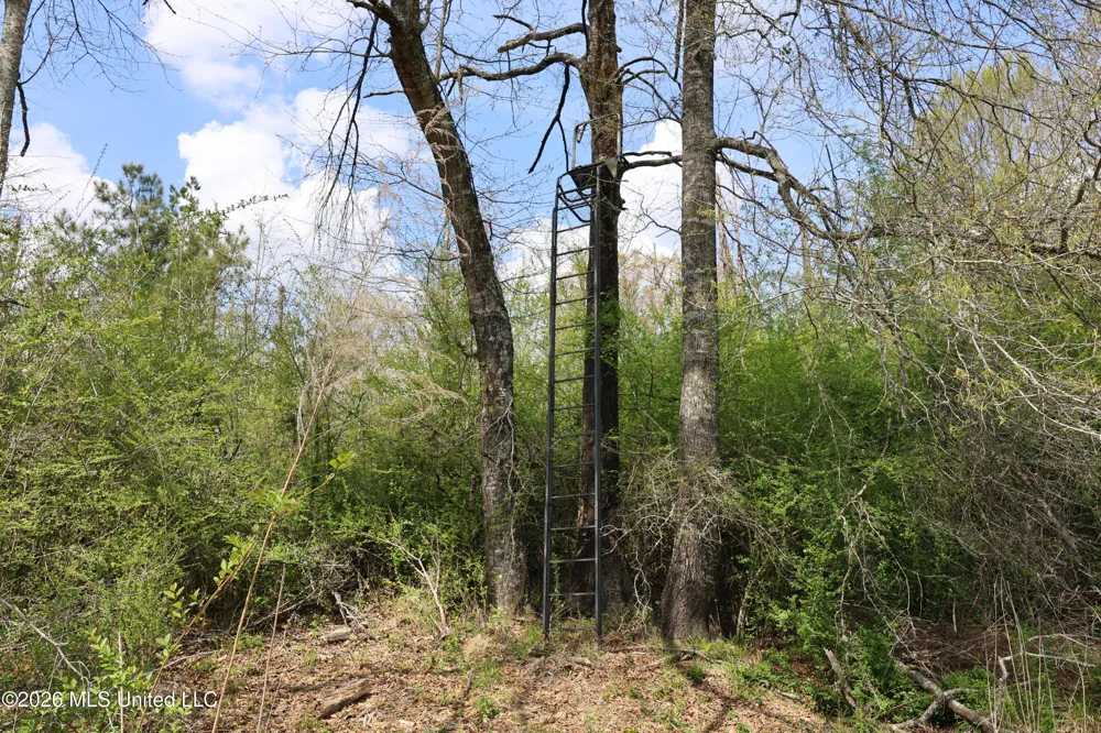 3194 James Road Hazlehurst, MS 39083