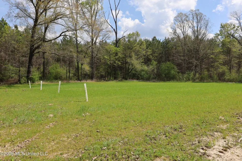 3194 James Road Hazlehurst, MS 39083