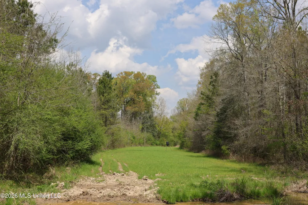 3194 James Road Hazlehurst, MS 39083