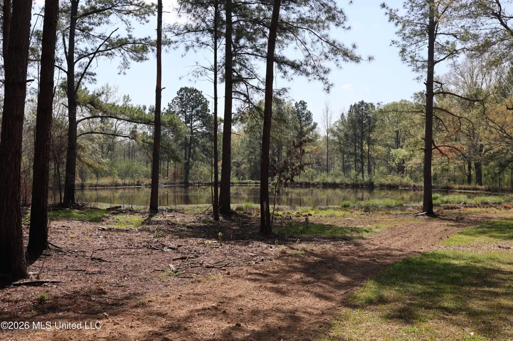 3194 James Road Hazlehurst, MS 39083