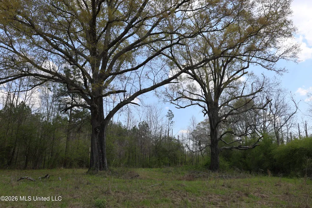 3194 James Road Hazlehurst, MS 39083