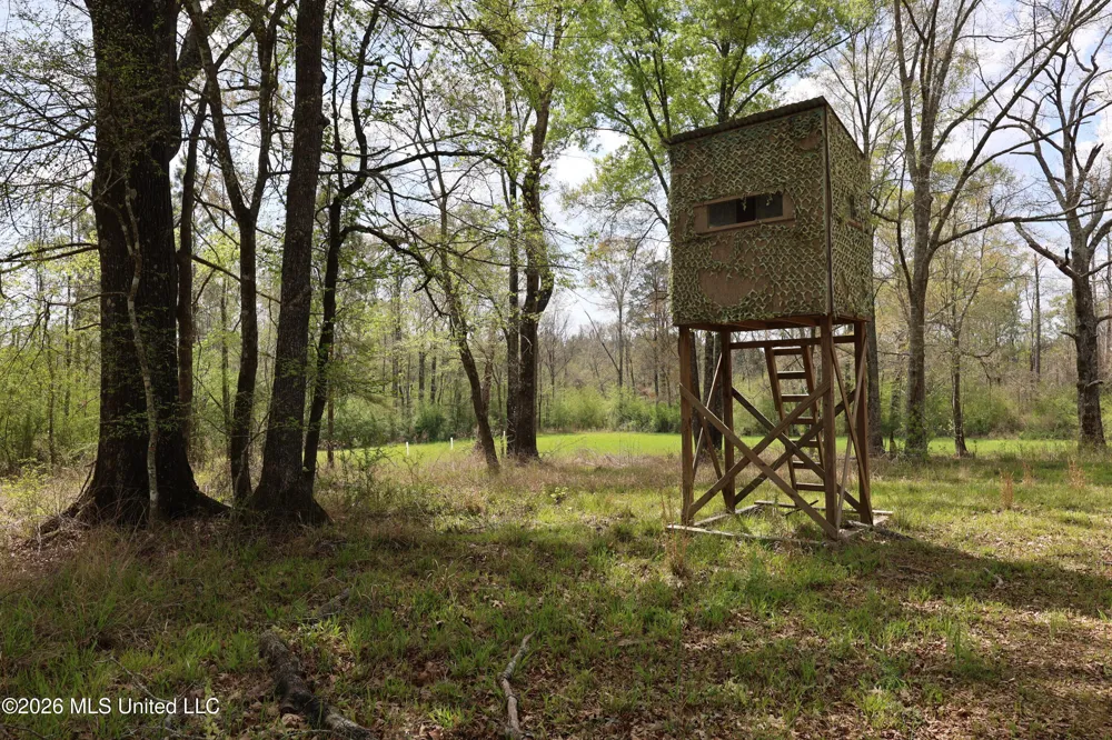 3194 James Road Hazlehurst, MS 39083