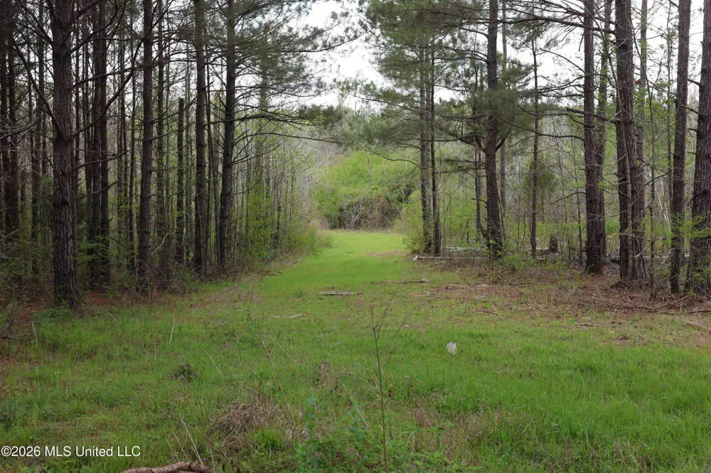 3194 James Road Hazlehurst, MS 39083