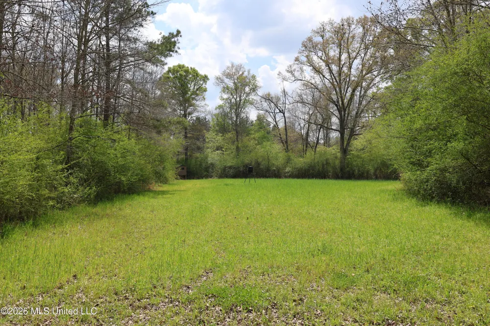 3194 James Road Hazlehurst, MS 39083