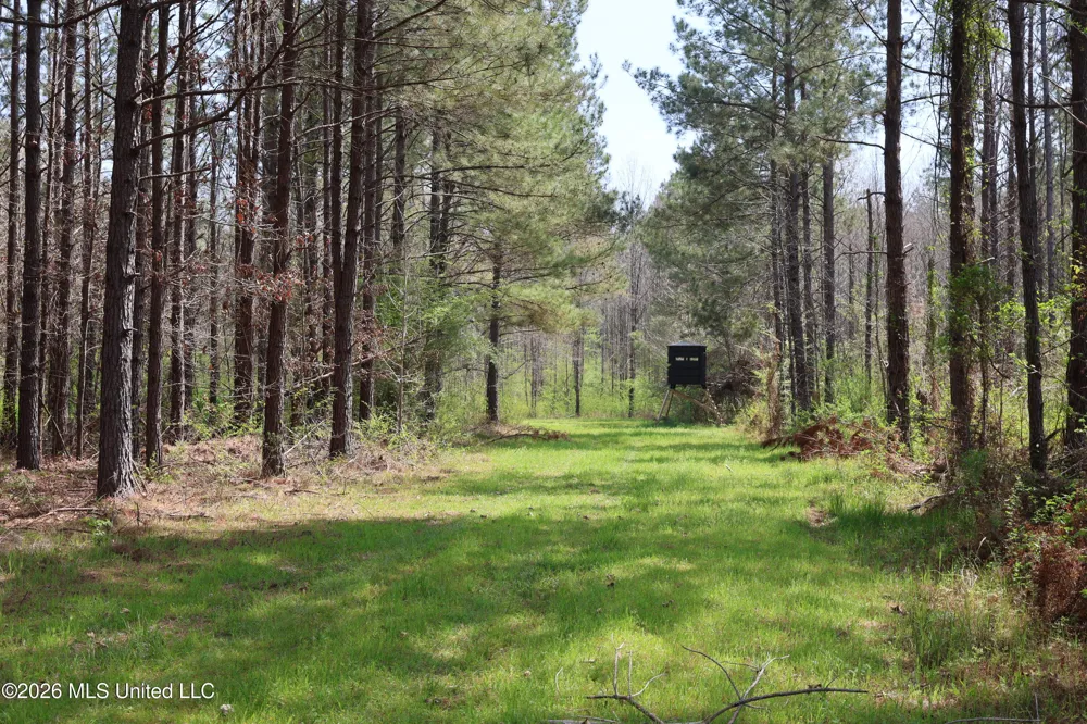 3194 James Road Hazlehurst, MS 39083