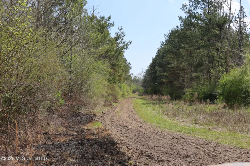 3194 James Road Hazlehurst, MS 39083