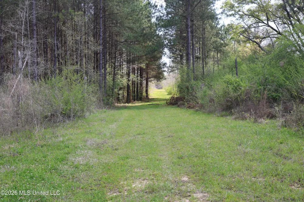3194 James Road Hazlehurst, MS 39083
