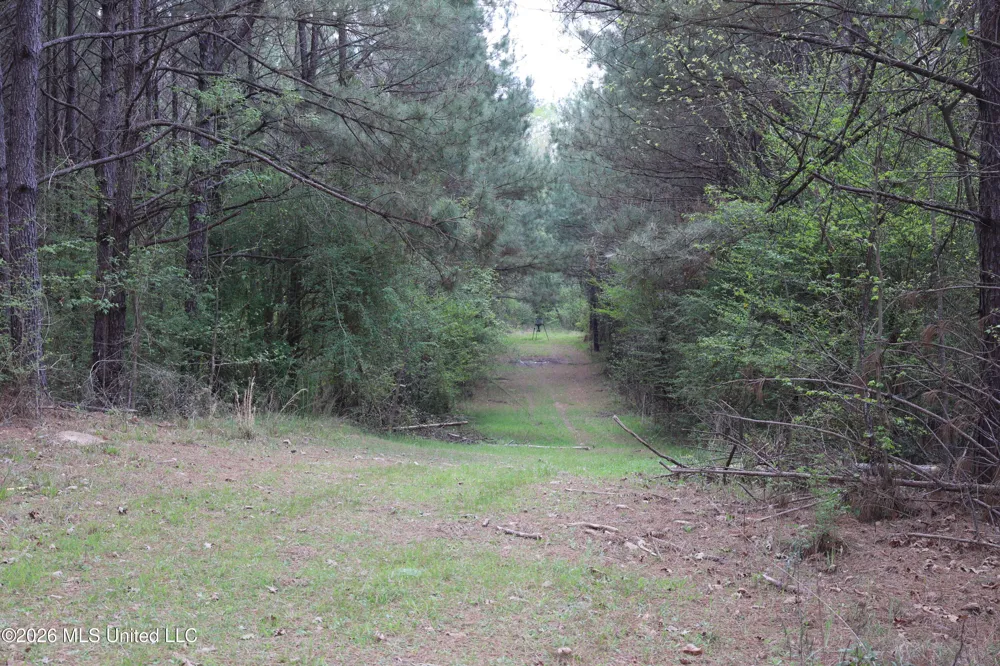 3194 James Road Hazlehurst, MS 39083