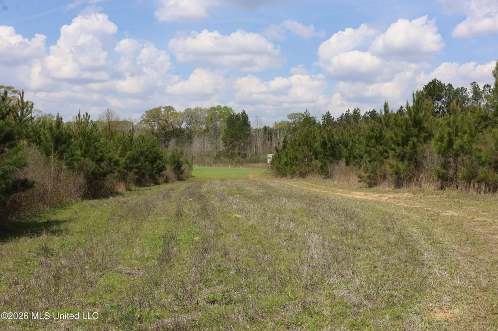 3194 James Road Hazlehurst, MS 39083