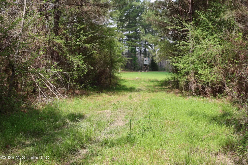 3194 James Road Hazlehurst, MS 39083