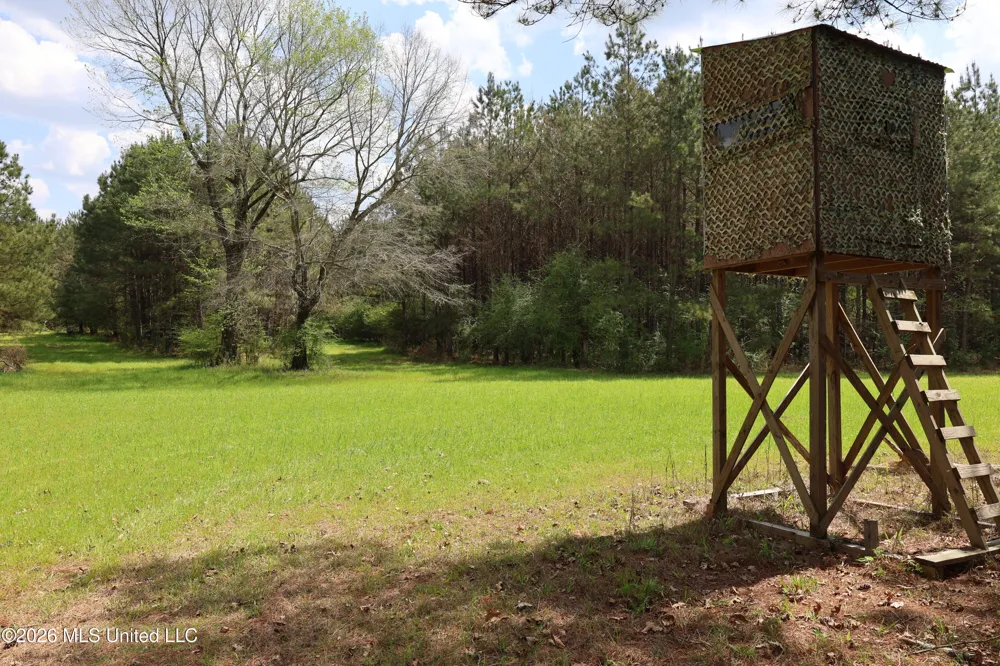 3194 James Road Hazlehurst, MS 39083