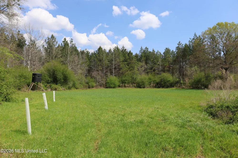 3194 James Road Hazlehurst, MS 39083