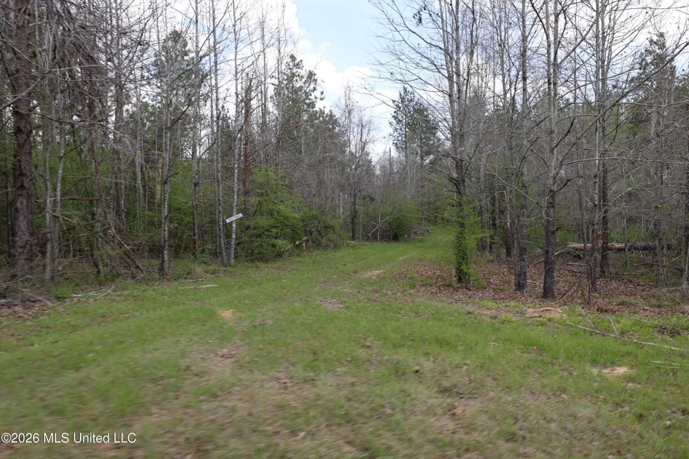 3194 James Road Hazlehurst, MS 39083