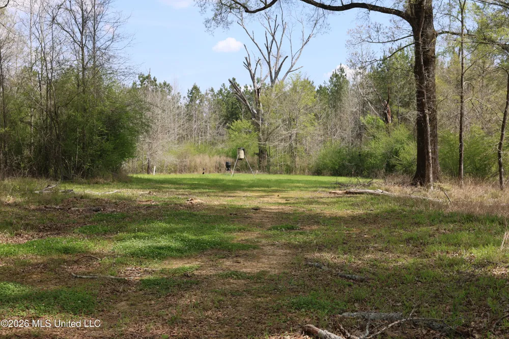 3194 James Road Hazlehurst, MS 39083