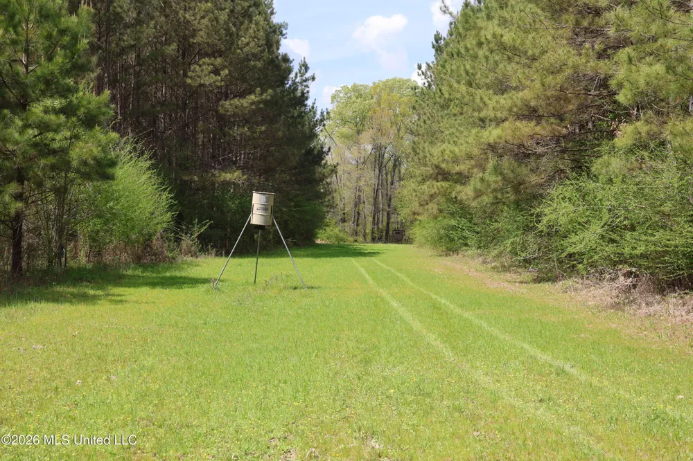 3194 James Road Hazlehurst, MS 39083