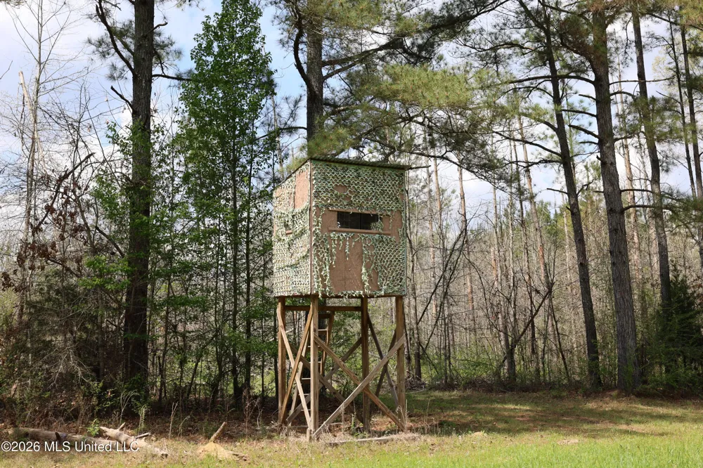 3194 James Road Hazlehurst, MS 39083