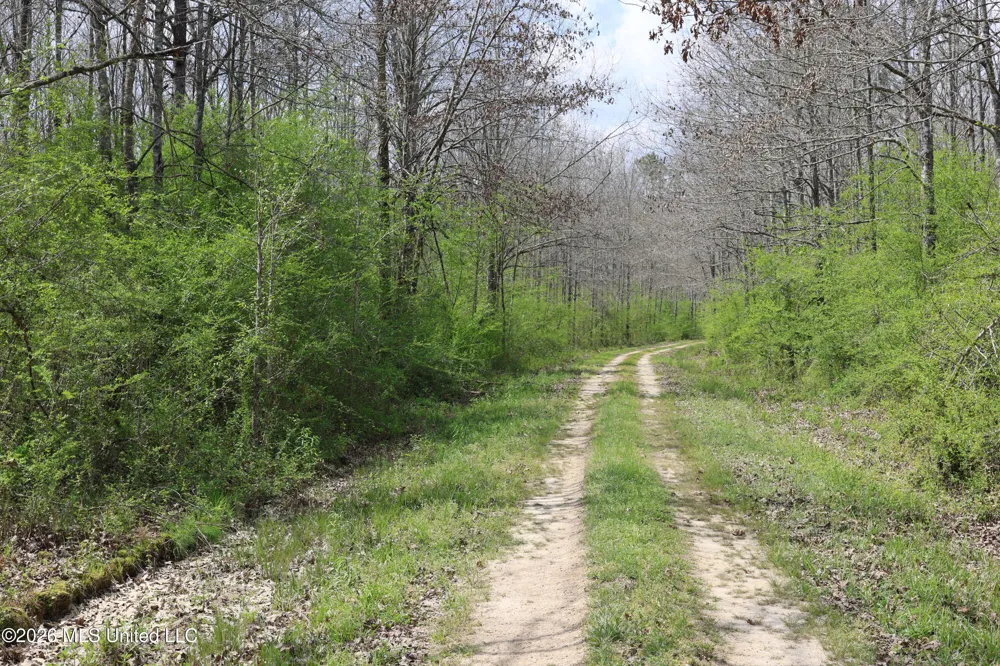 3194 James Road Hazlehurst, MS 39083