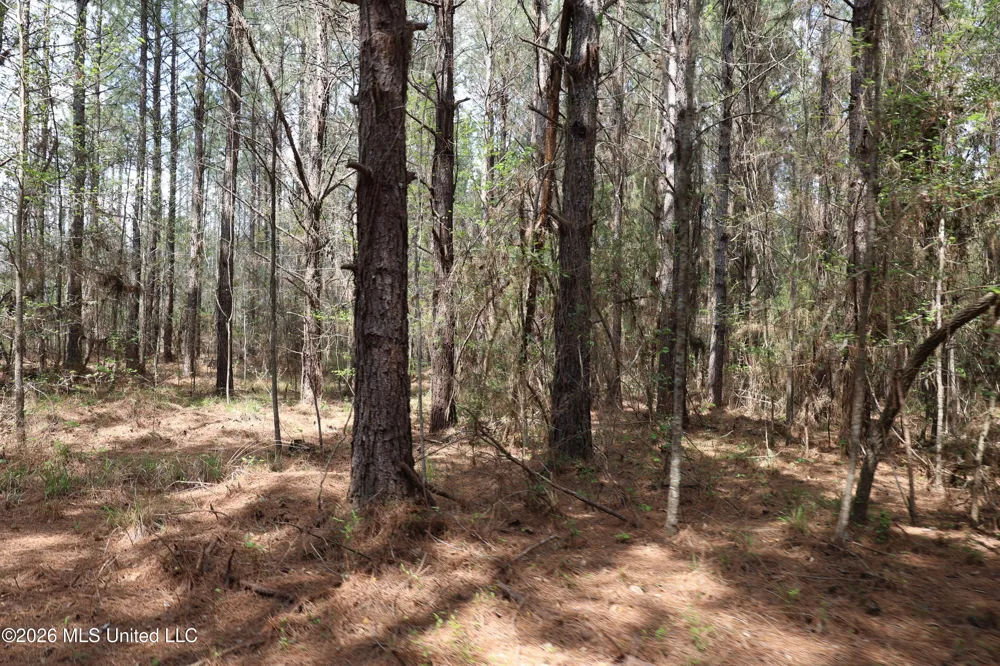 3194 James Road Hazlehurst, MS 39083