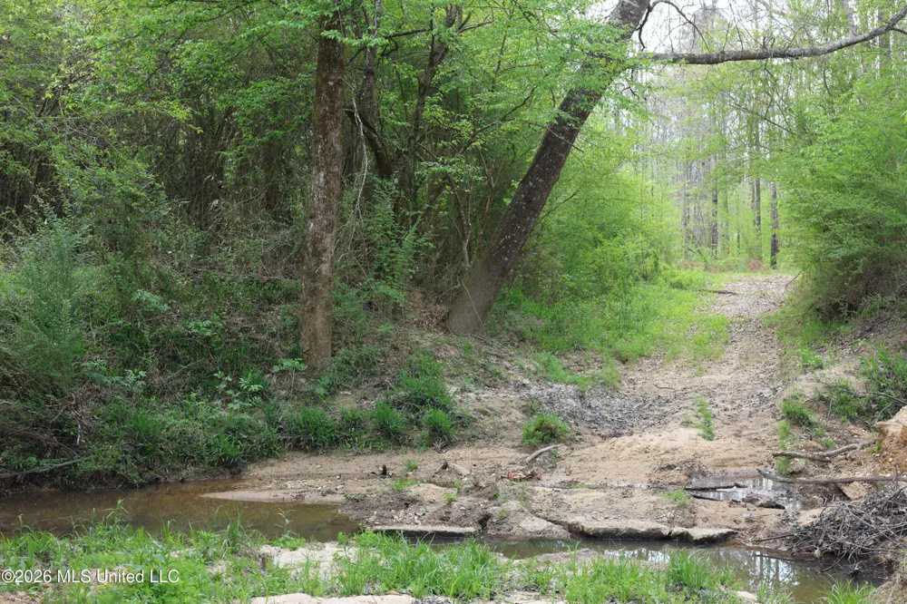 3194 James Road Hazlehurst, MS 39083