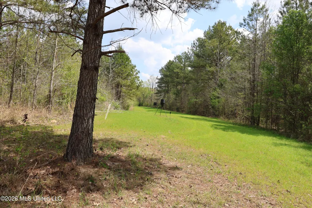 3194 James Road Hazlehurst, MS 39083