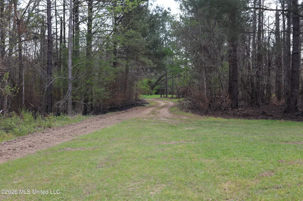 3194 James Road Hazlehurst, MS 39083