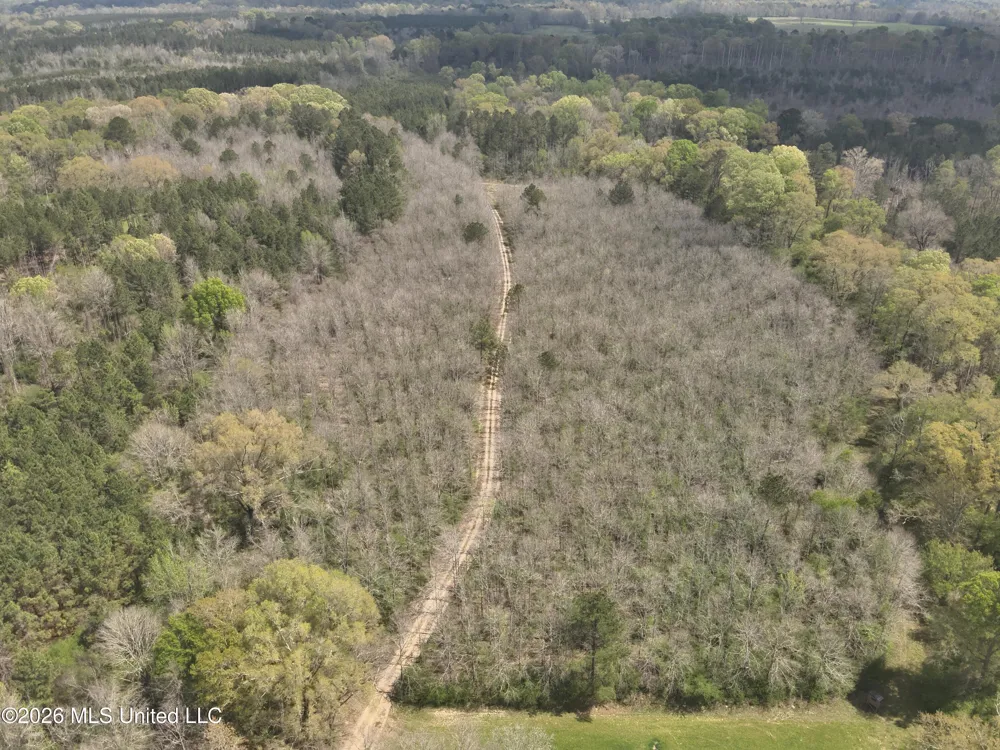 3194 James Road Hazlehurst, MS 39083