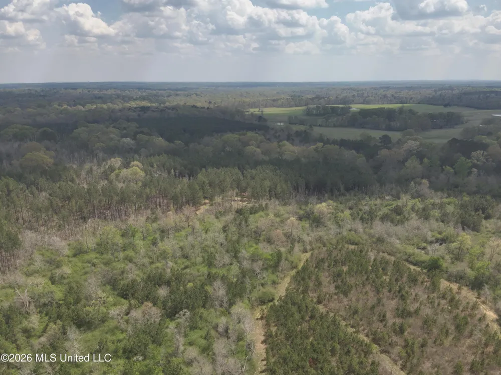 3194 James Road Hazlehurst, MS 39083
