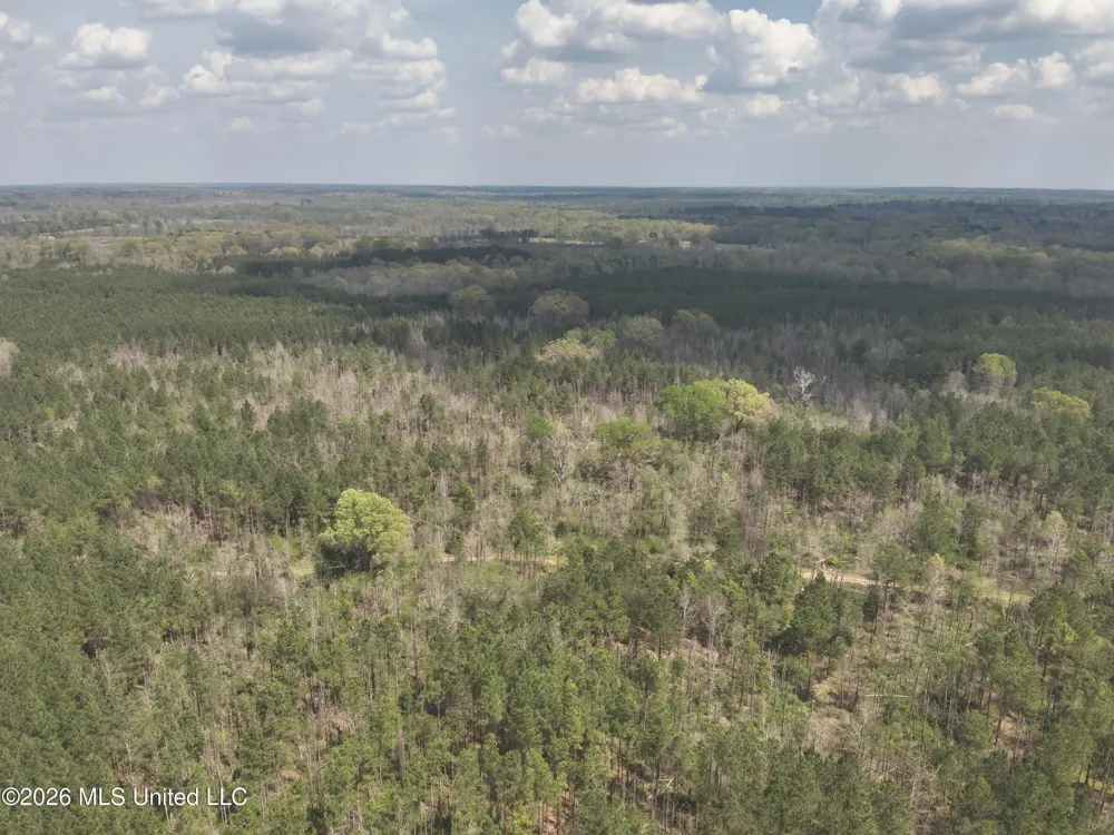 3194 James Road Hazlehurst, MS 39083