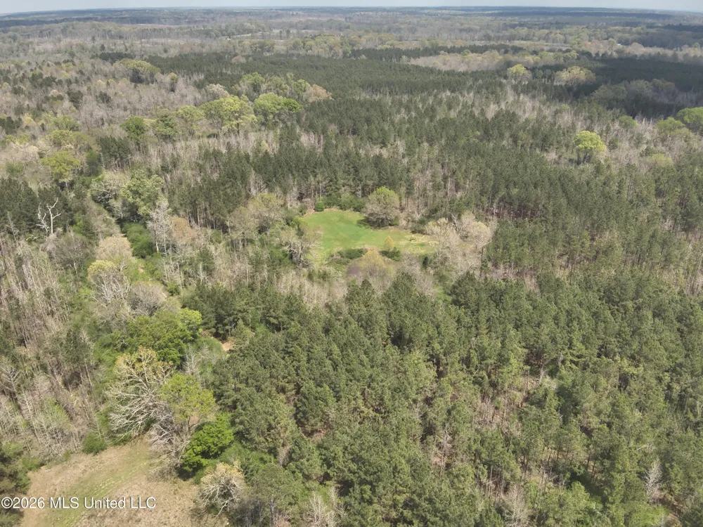 3194 James Road Hazlehurst, MS 39083