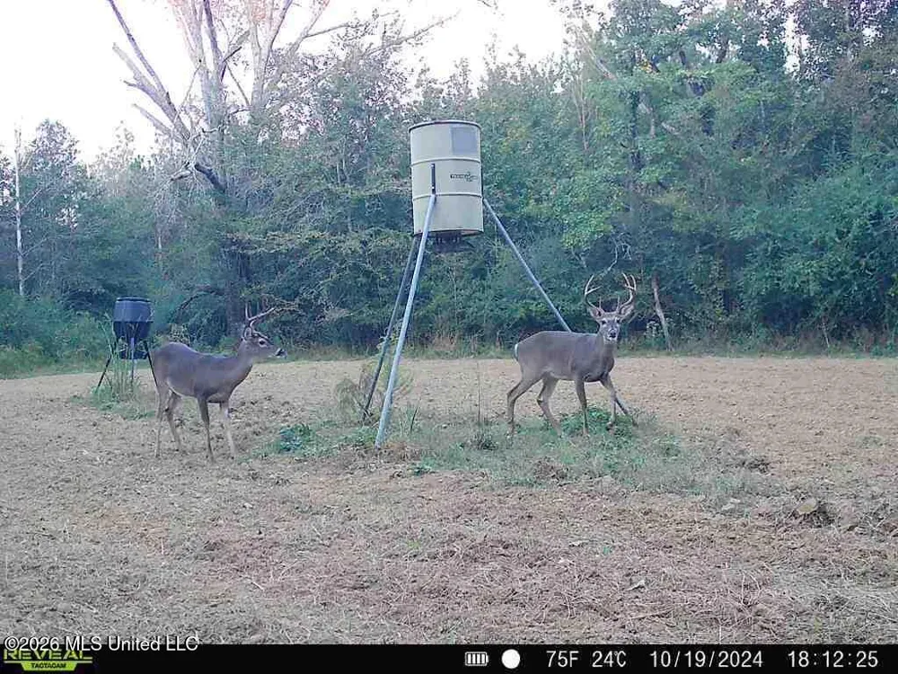 3194 James Road Hazlehurst, MS 39083