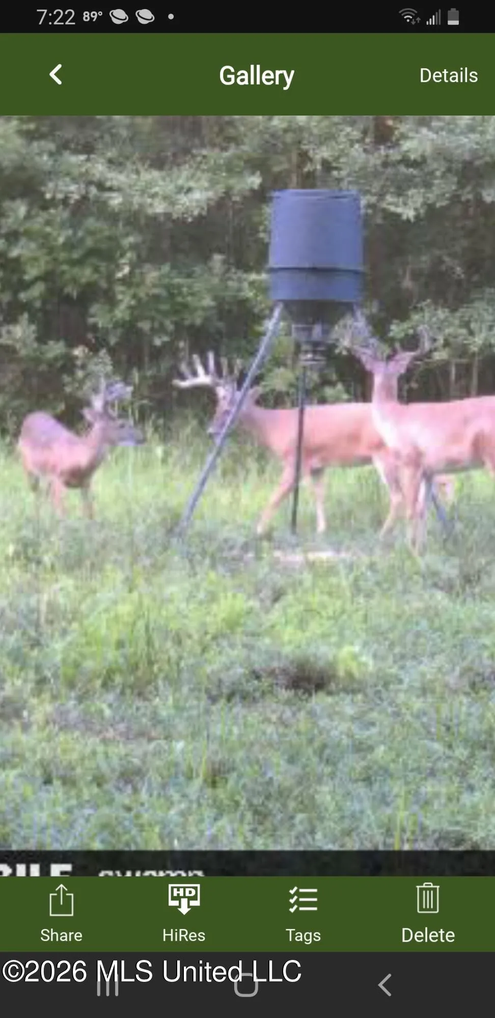 3194 James Road Hazlehurst, MS 39083