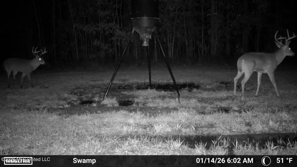 3194 James Road Hazlehurst, MS 39083