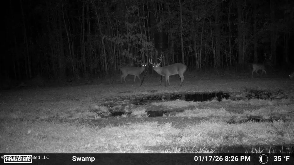 3194 James Road Hazlehurst, MS 39083