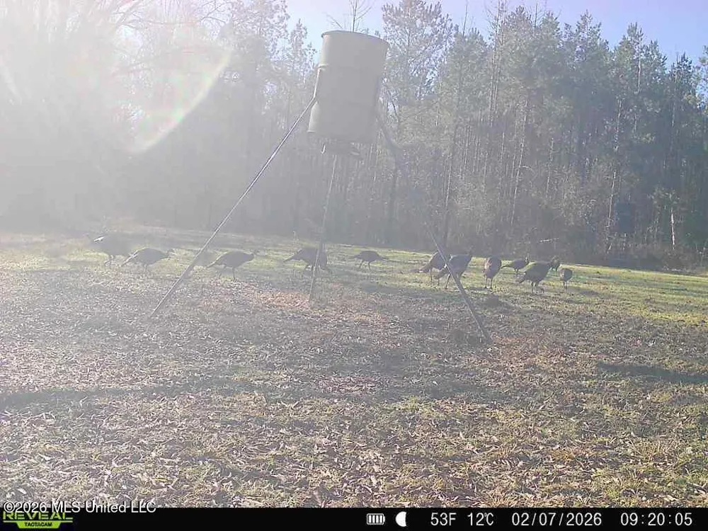 3194 James Road Hazlehurst, MS 39083