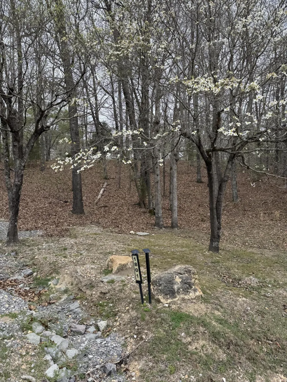 1801 Colbert Hollow Road Rock Spring, GA 30739