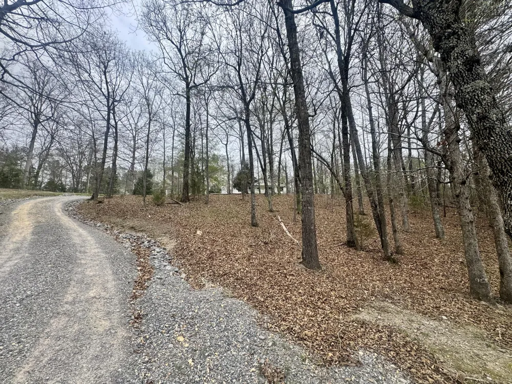 1801 Colbert Hollow Road Rock Spring, GA 30739