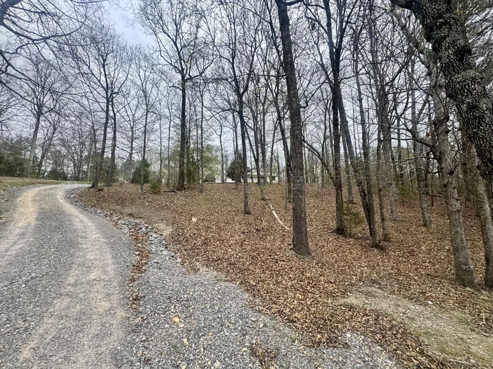1801 Colbert Hollow Road Rock Spring, GA 30739