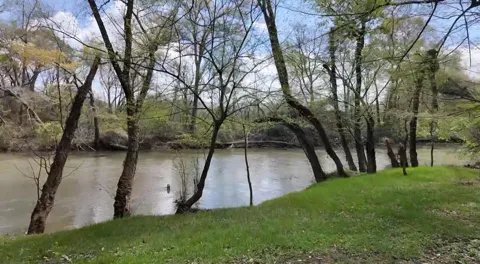 109 Acres, 0 Lynn Lane