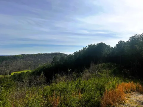 7 SW Owl Hollow Road