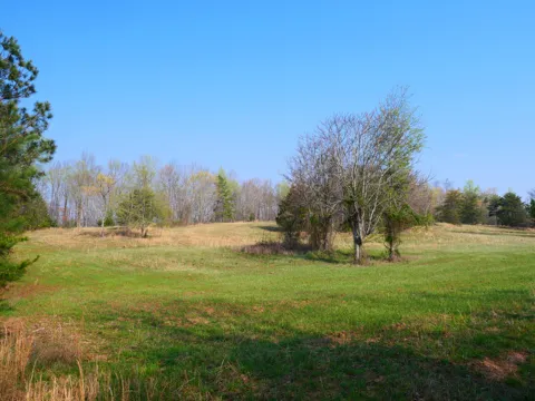 Daugherty Ferry Road