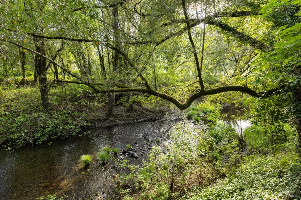 3000 Warm Springs Road Glen Ellen, CA 95442