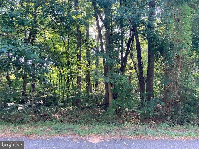 BAY POINTE DRIVE Montross, VA 22520