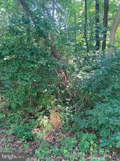 BAY POINTE DRIVE Montross, VA 22520