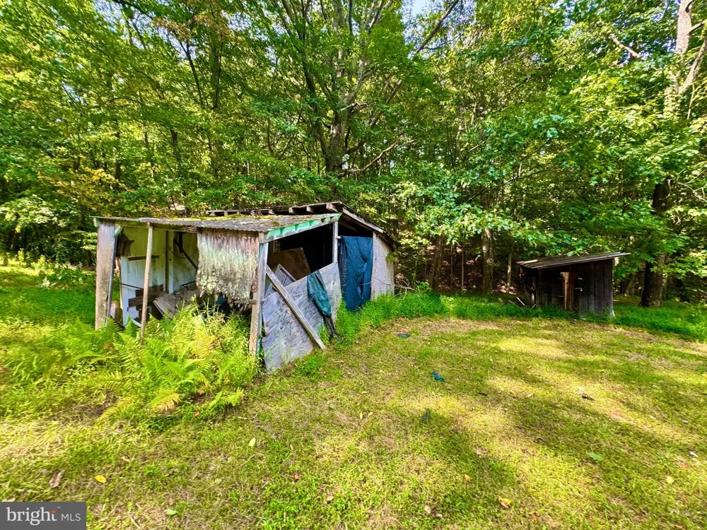 378 INDIAN TRAIL Seneca Rocks, WV 26884