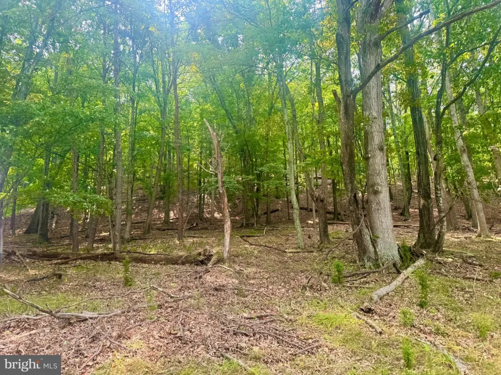 378 INDIAN TRAIL Seneca Rocks, WV 26884