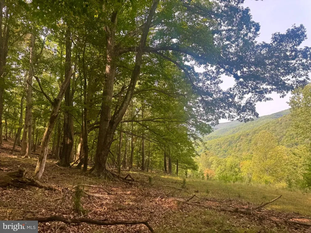 378 INDIAN TRAIL Seneca Rocks, WV 26884